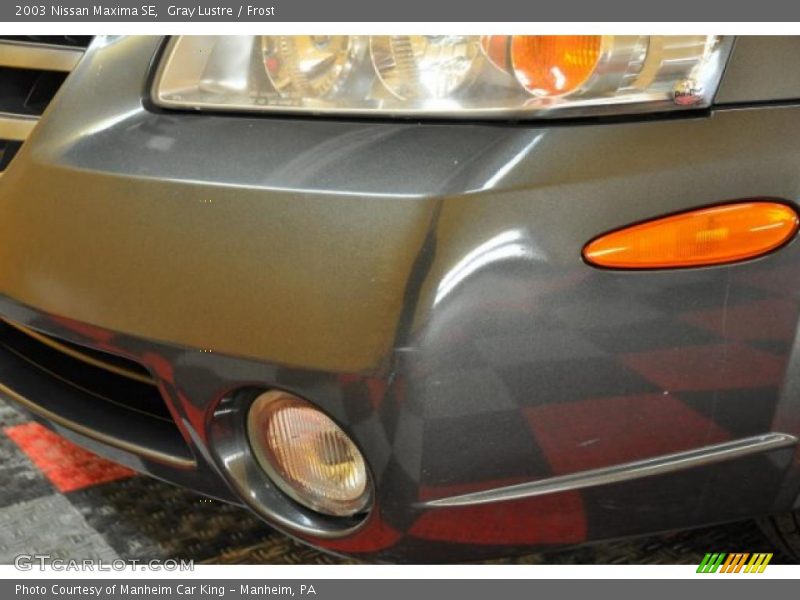 Gray Lustre / Frost 2003 Nissan Maxima SE