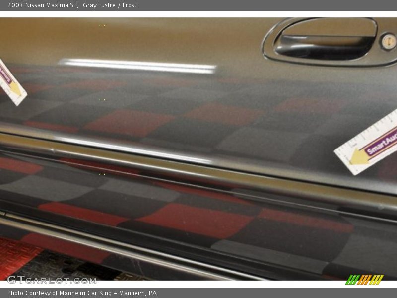 Gray Lustre / Frost 2003 Nissan Maxima SE