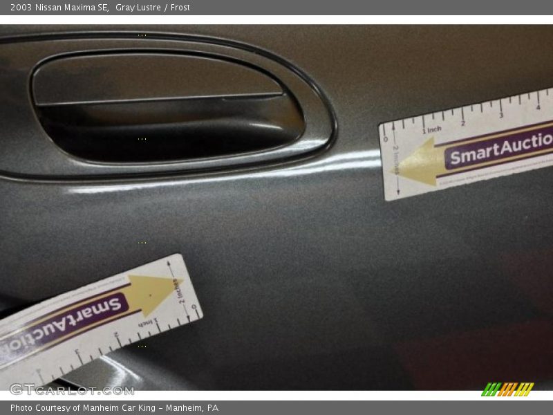 Gray Lustre / Frost 2003 Nissan Maxima SE