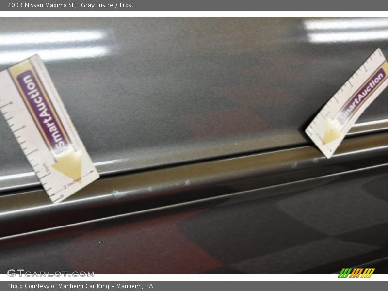 Gray Lustre / Frost 2003 Nissan Maxima SE