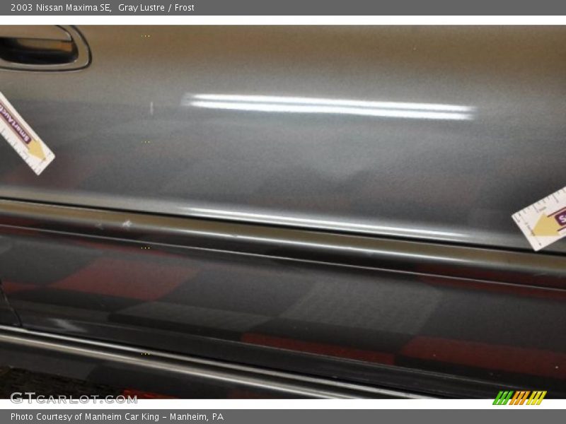 Gray Lustre / Frost 2003 Nissan Maxima SE