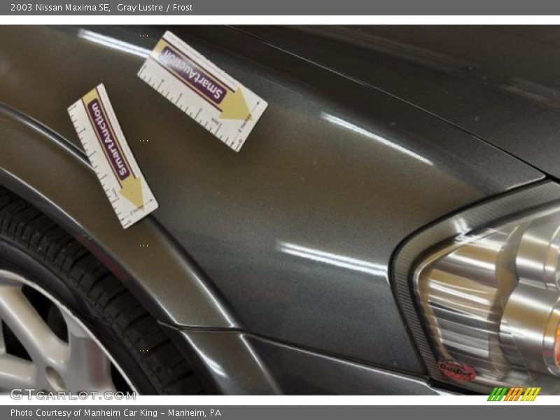 Gray Lustre / Frost 2003 Nissan Maxima SE