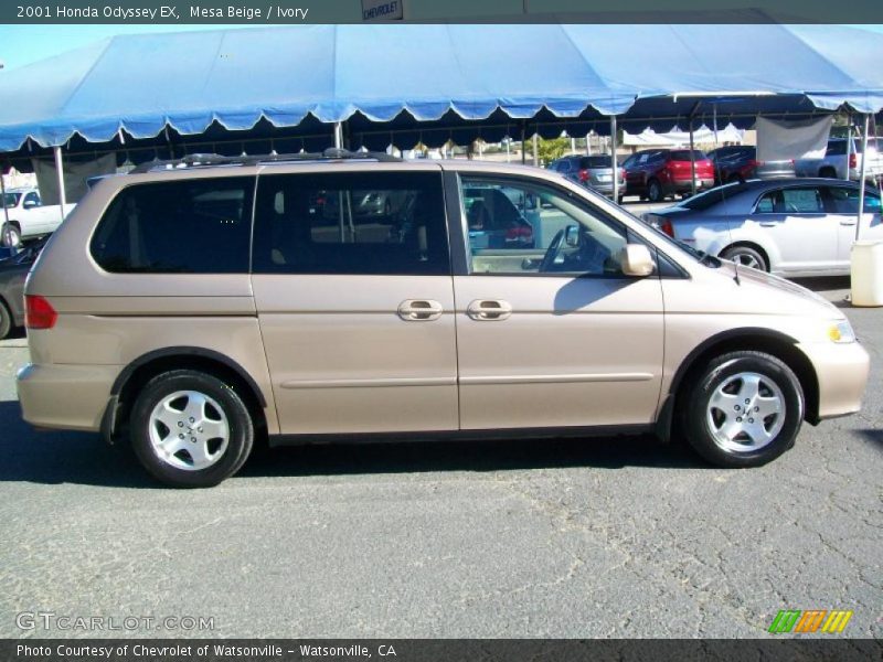 Mesa Beige / Ivory 2001 Honda Odyssey EX