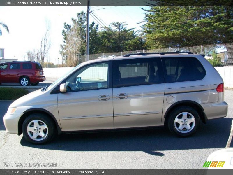 Mesa Beige / Ivory 2001 Honda Odyssey EX