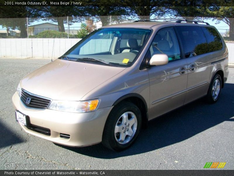 Mesa Beige / Ivory 2001 Honda Odyssey EX