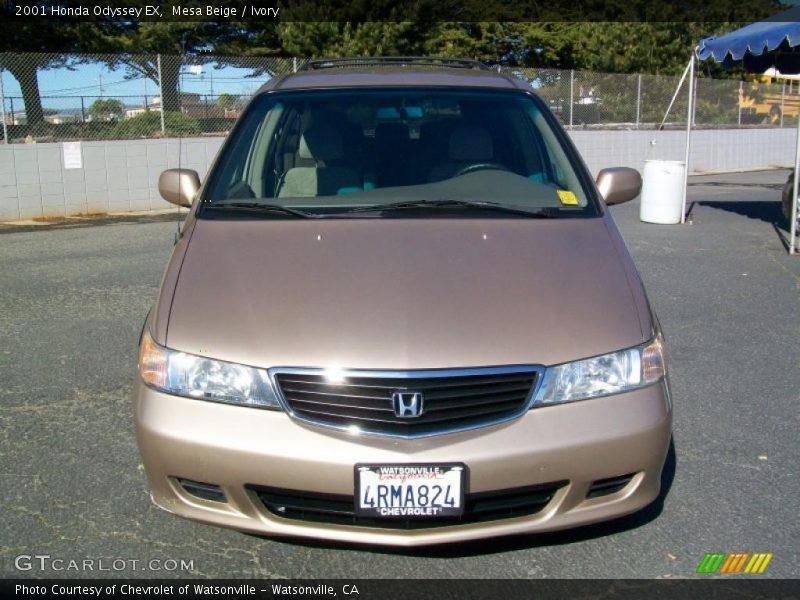 Mesa Beige / Ivory 2001 Honda Odyssey EX