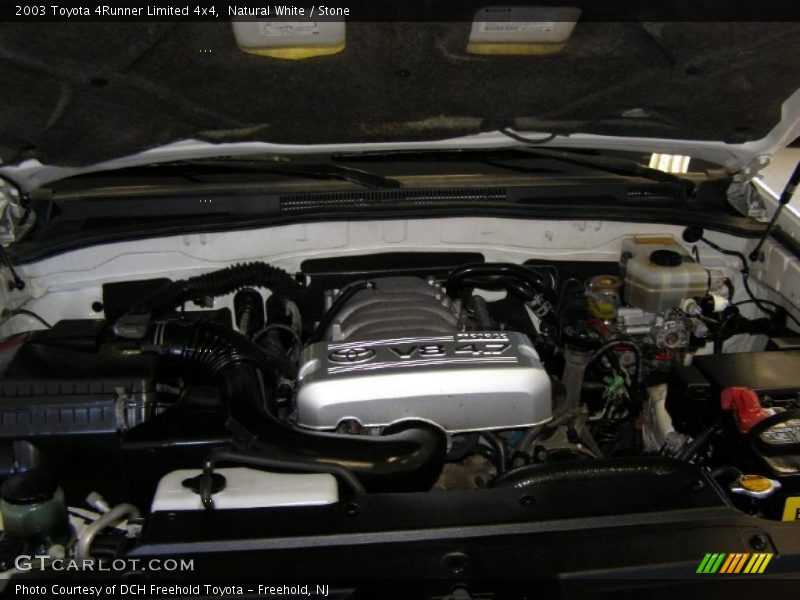 Natural White / Stone 2003 Toyota 4Runner Limited 4x4