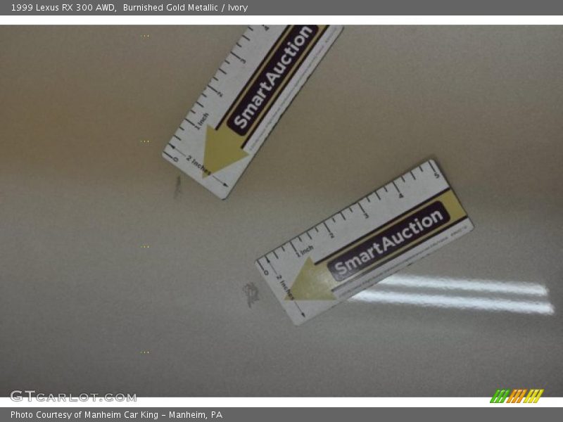 Burnished Gold Metallic / Ivory 1999 Lexus RX 300 AWD