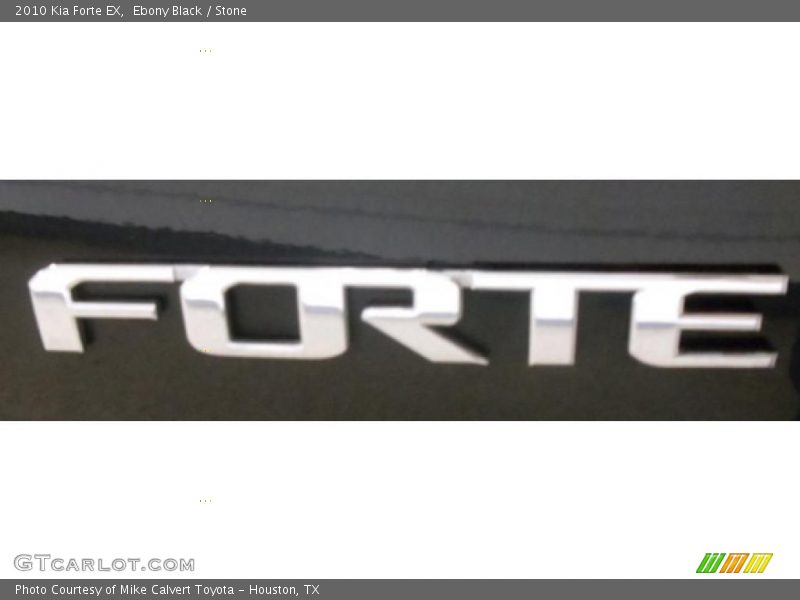 Ebony Black / Stone 2010 Kia Forte EX