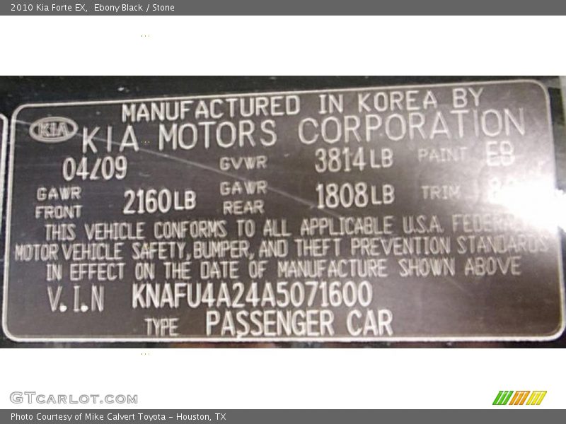 Ebony Black / Stone 2010 Kia Forte EX