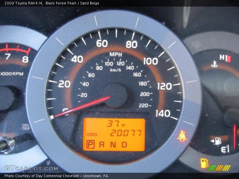 Black Forest Pearl / Sand Beige 2009 Toyota RAV4 I4