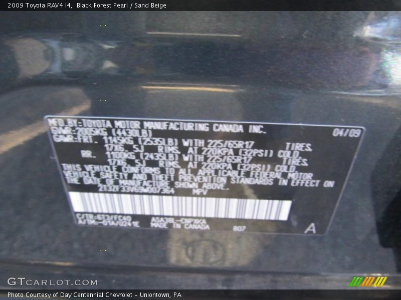 Black Forest Pearl / Sand Beige 2009 Toyota RAV4 I4