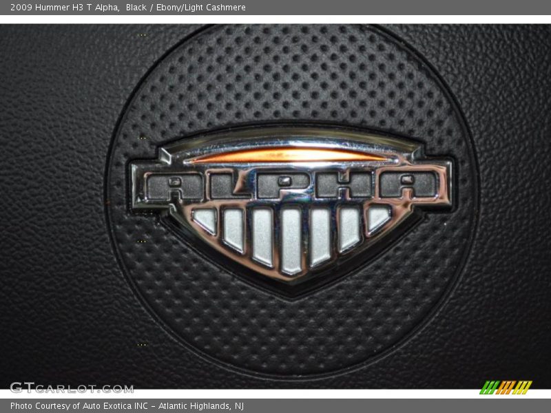  2009 H3 T Alpha Logo