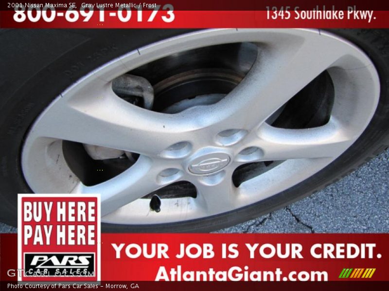 Gray Lustre Metallic / Frost 2001 Nissan Maxima SE