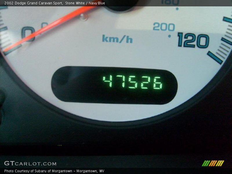 Stone White / Navy Blue 2002 Dodge Grand Caravan Sport