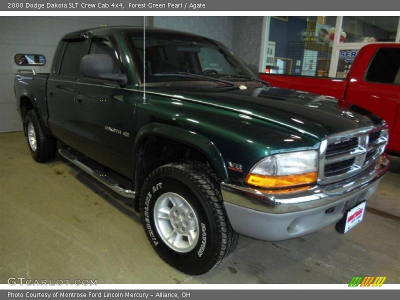 Forest Green Pearl / Agate 2000 Dodge Dakota SLT Crew Cab 4x4