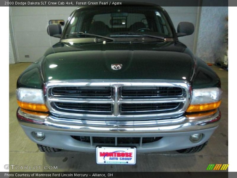 Forest Green Pearl / Agate 2000 Dodge Dakota SLT Crew Cab 4x4
