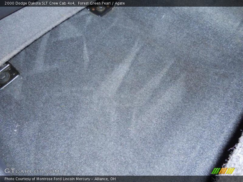 Forest Green Pearl / Agate 2000 Dodge Dakota SLT Crew Cab 4x4