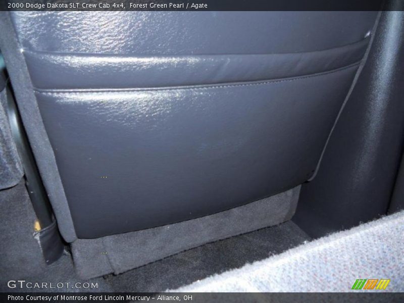 Forest Green Pearl / Agate 2000 Dodge Dakota SLT Crew Cab 4x4
