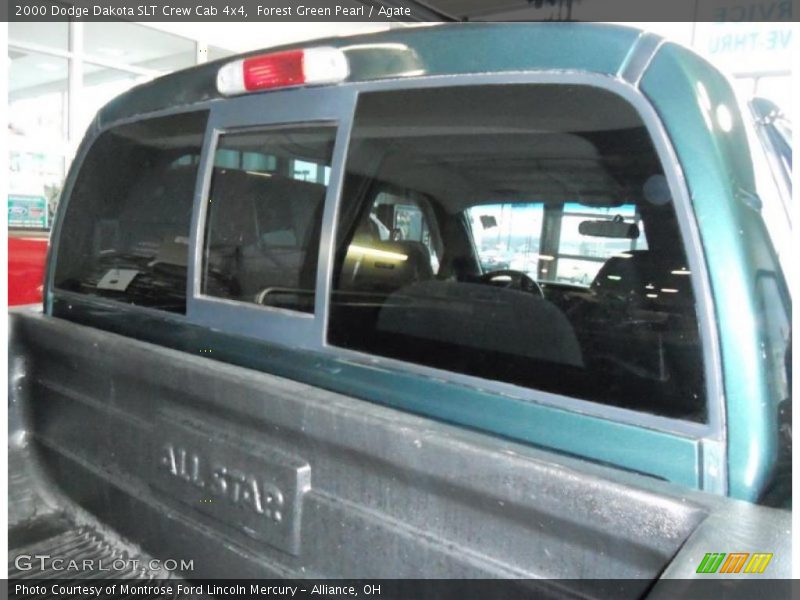 Forest Green Pearl / Agate 2000 Dodge Dakota SLT Crew Cab 4x4