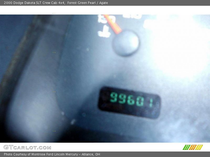Forest Green Pearl / Agate 2000 Dodge Dakota SLT Crew Cab 4x4