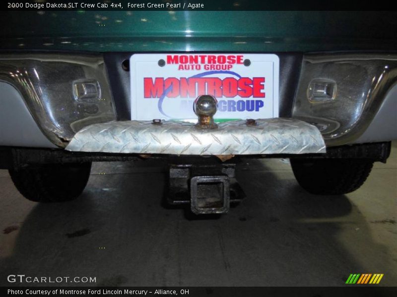Forest Green Pearl / Agate 2000 Dodge Dakota SLT Crew Cab 4x4