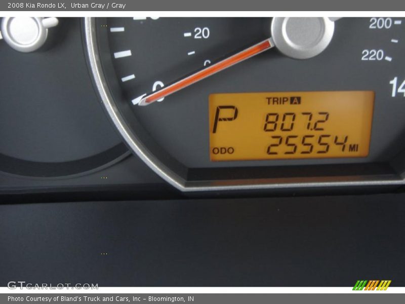 Urban Gray / Gray 2008 Kia Rondo LX