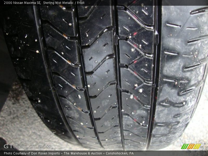 Sterling Mist Metallic / Frost 2000 Nissan Maxima SE