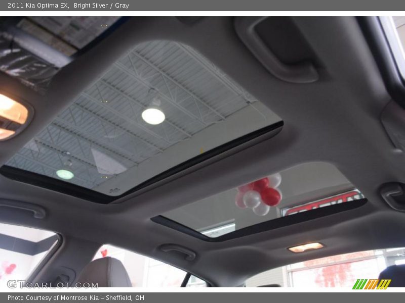 Bright Silver / Gray 2011 Kia Optima EX