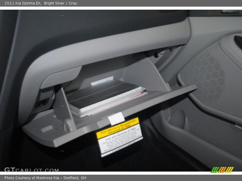 Bright Silver / Gray 2011 Kia Optima EX