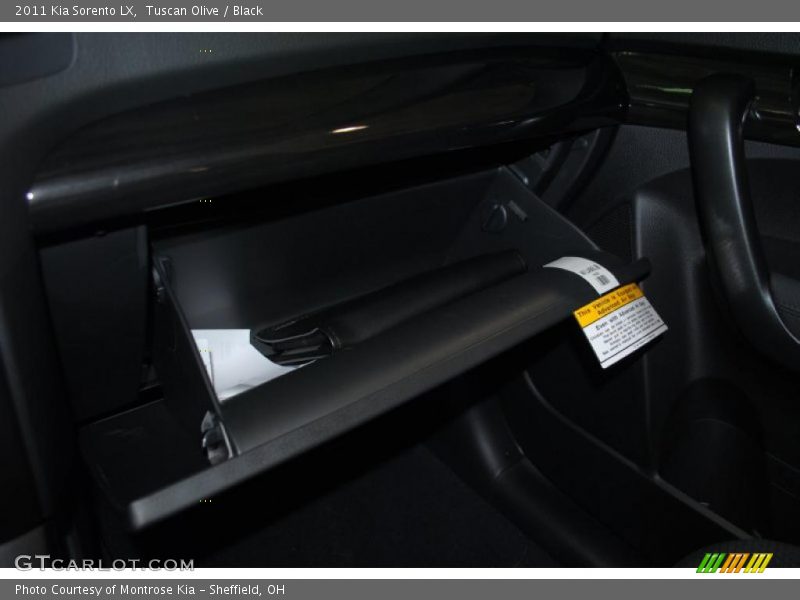Tuscan Olive / Black 2011 Kia Sorento LX