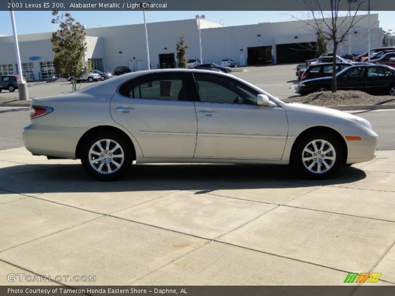 Alabaster Metallic / Light Charcoal 2003 Lexus ES 300