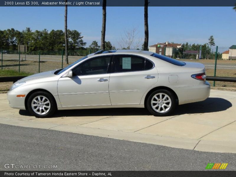 Alabaster Metallic / Light Charcoal 2003 Lexus ES 300