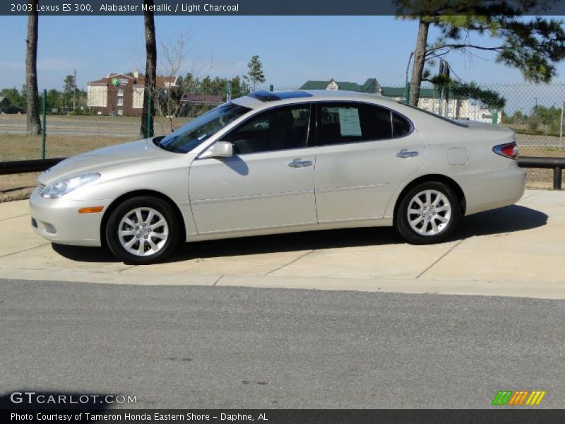 Alabaster Metallic / Light Charcoal 2003 Lexus ES 300