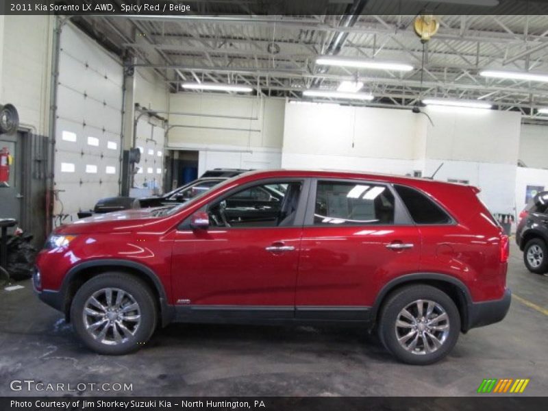 Spicy Red / Beige 2011 Kia Sorento LX AWD