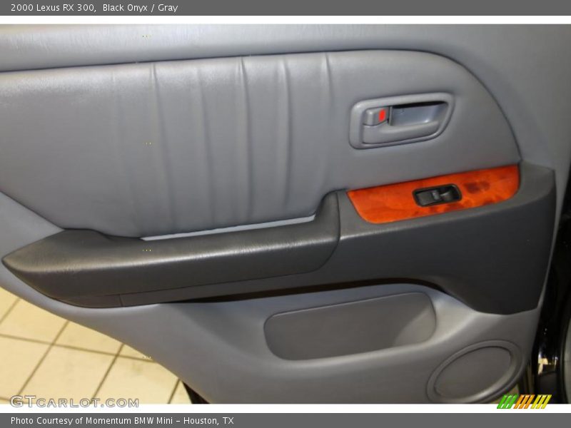 Black Onyx / Gray 2000 Lexus RX 300