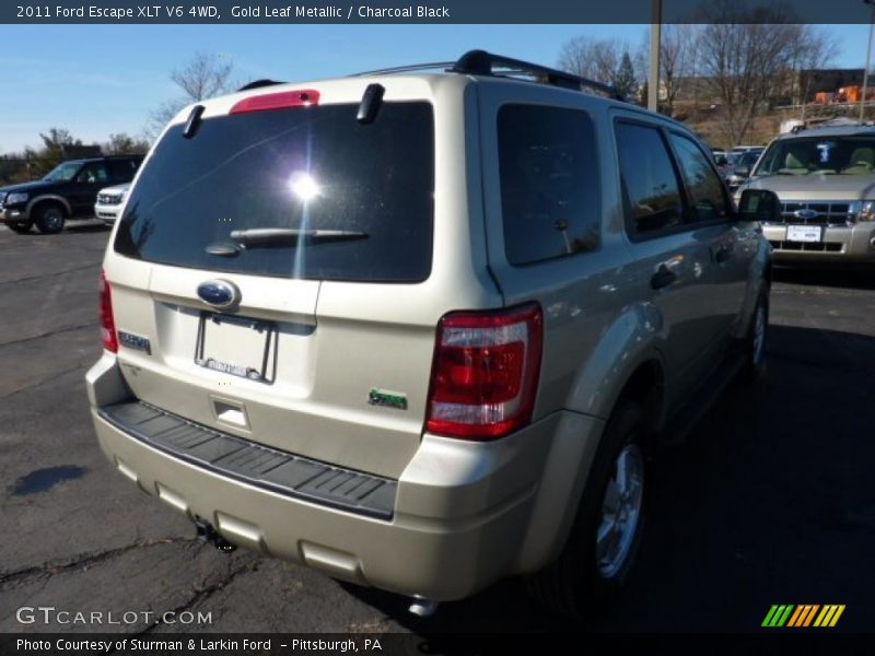 Gold Leaf Metallic / Charcoal Black 2011 Ford Escape XLT V6 4WD