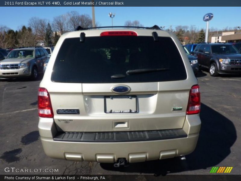 Gold Leaf Metallic / Charcoal Black 2011 Ford Escape XLT V6 4WD