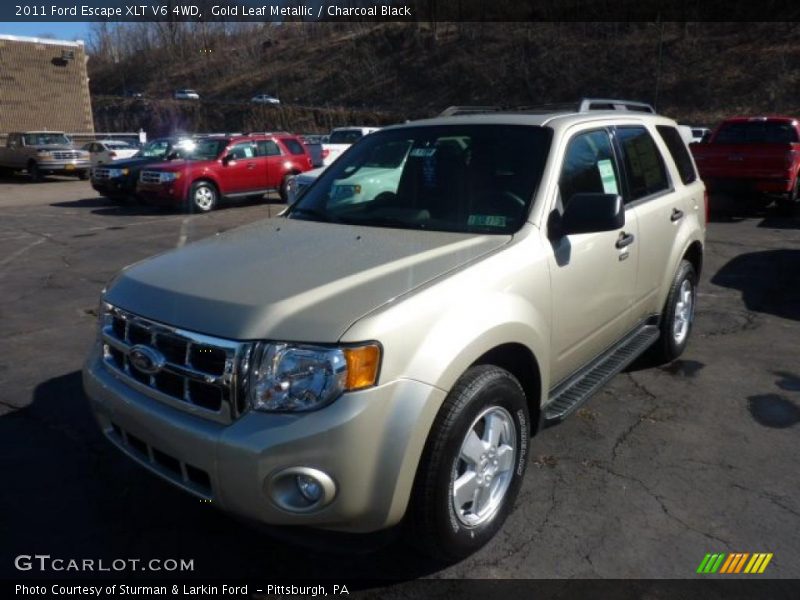 Gold Leaf Metallic / Charcoal Black 2011 Ford Escape XLT V6 4WD