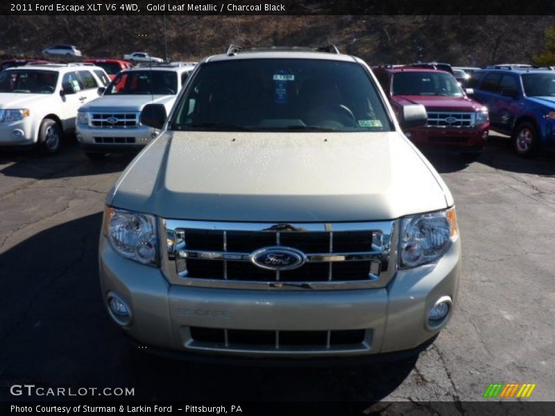 Gold Leaf Metallic / Charcoal Black 2011 Ford Escape XLT V6 4WD
