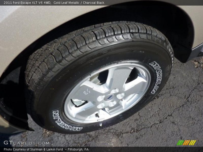 Gold Leaf Metallic / Charcoal Black 2011 Ford Escape XLT V6 4WD
