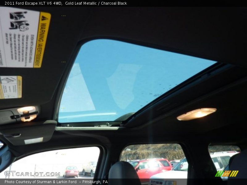 Gold Leaf Metallic / Charcoal Black 2011 Ford Escape XLT V6 4WD