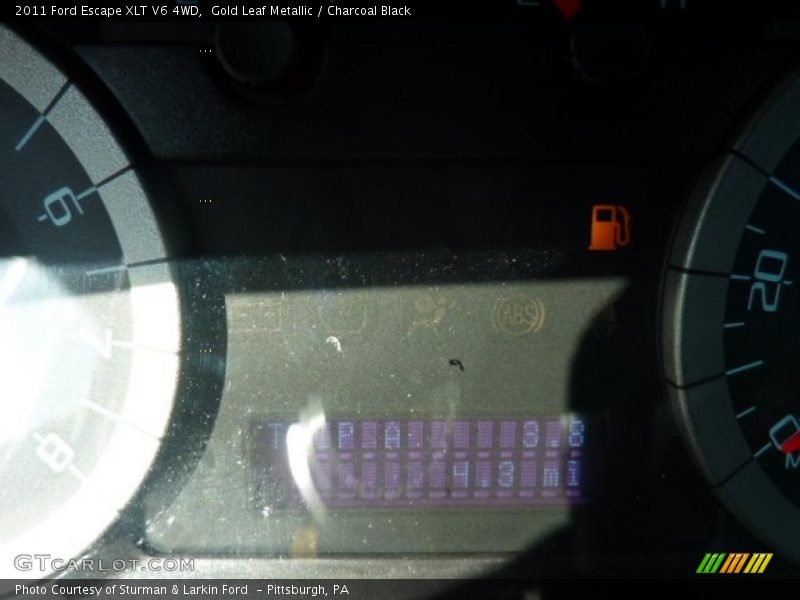 Gold Leaf Metallic / Charcoal Black 2011 Ford Escape XLT V6 4WD