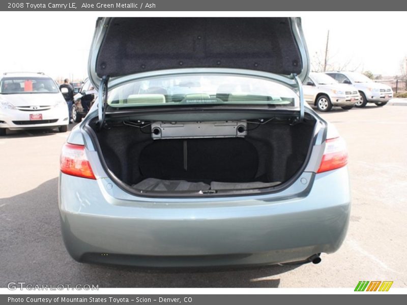 Aloe Green Metallic / Ash 2008 Toyota Camry LE