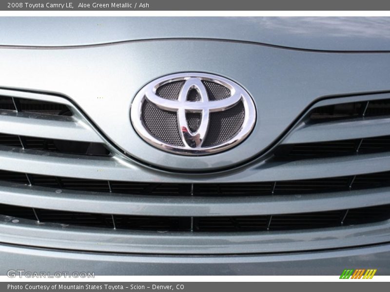 Aloe Green Metallic / Ash 2008 Toyota Camry LE