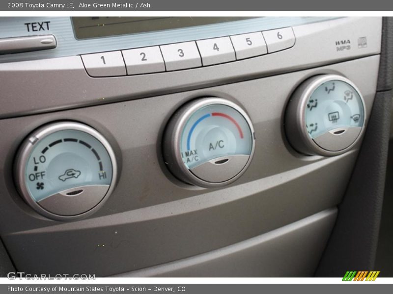Aloe Green Metallic / Ash 2008 Toyota Camry LE