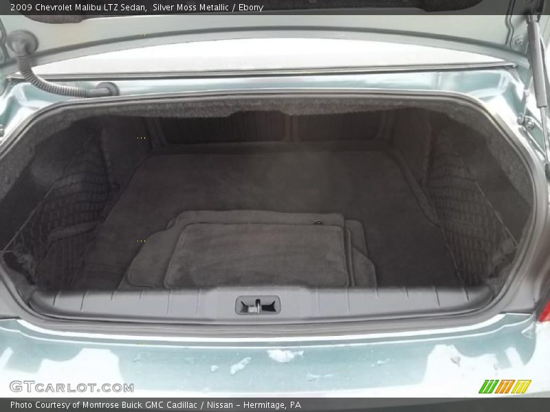 Silver Moss Metallic / Ebony 2009 Chevrolet Malibu LTZ Sedan