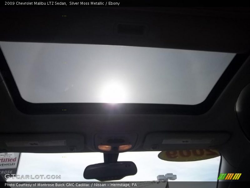 Silver Moss Metallic / Ebony 2009 Chevrolet Malibu LTZ Sedan