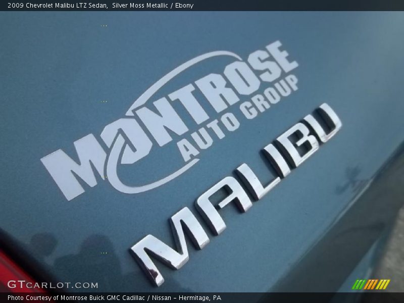 Silver Moss Metallic / Ebony 2009 Chevrolet Malibu LTZ Sedan