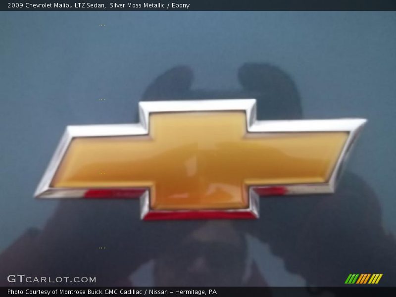 Silver Moss Metallic / Ebony 2009 Chevrolet Malibu LTZ Sedan